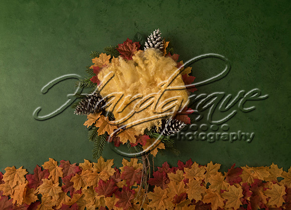 AkLoveArt Backdrop (18)