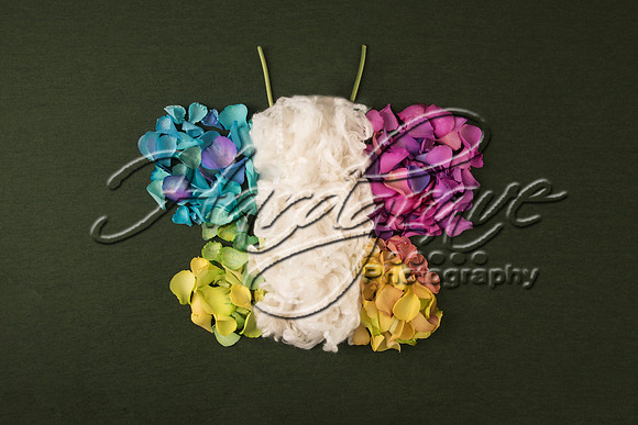 AkLoveArt Backdrop (19)