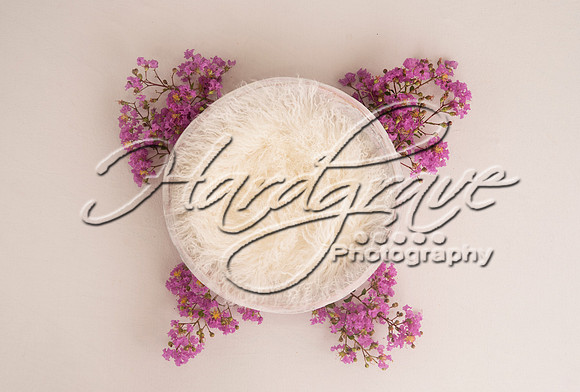 AkLoveArt Backdrop (24)