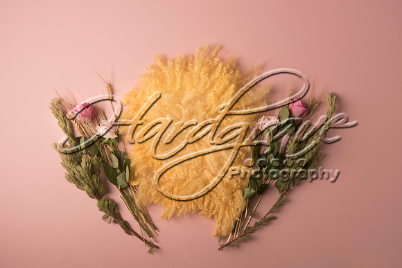 AkLoveArt Backdrop (26)