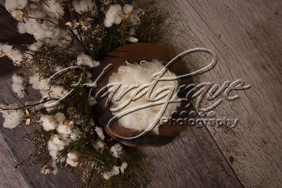 AkLoveArt Backdrop (28)