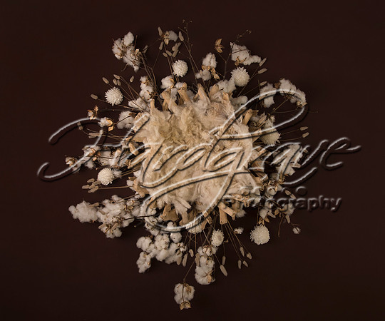 AkLoveArt Backdrop (29)