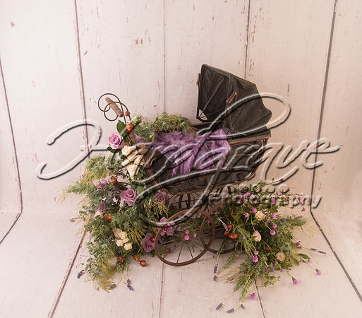 AkLoveArt Backdrop (30)