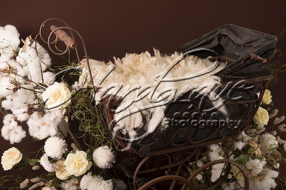 AkLoveArt Backdrop (31)
