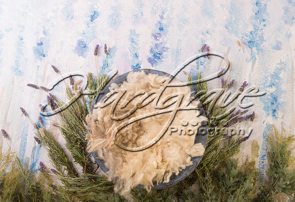 AkLoveArt Backdrop (32)
