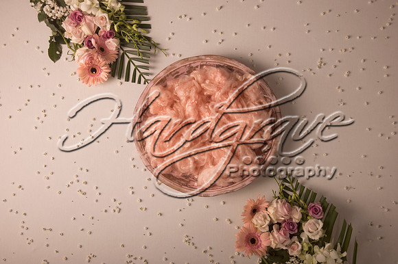 AkLoveArt Backdrop (34)