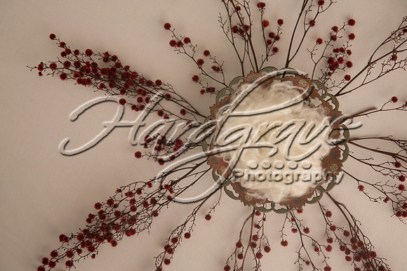 AkLoveArt Backdrop (35)
