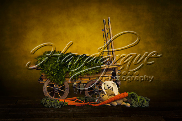 AkLoveArt Backdrop (38)