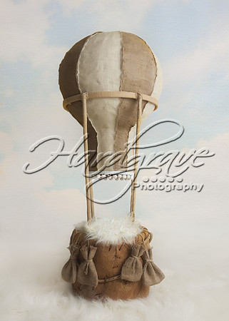 AkLoveArt Backdrop (41)