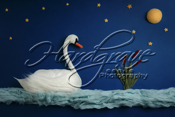 AkLoveArt Backdrop (46)