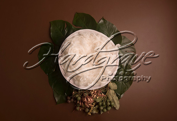 AkLoveArt Backdrop (47)