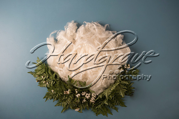 AkLoveArt Backdrop (49)