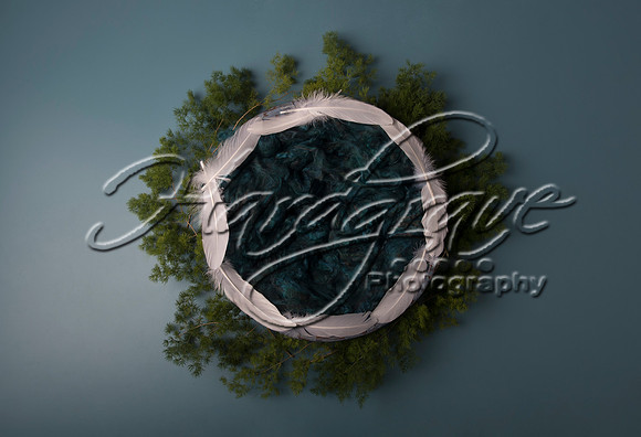 AkLoveArt Backdrop (51)