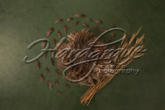 AkLoveArt Backdrop (56)
