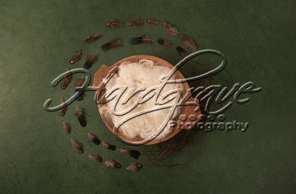 AkLoveArt Backdrop (57)