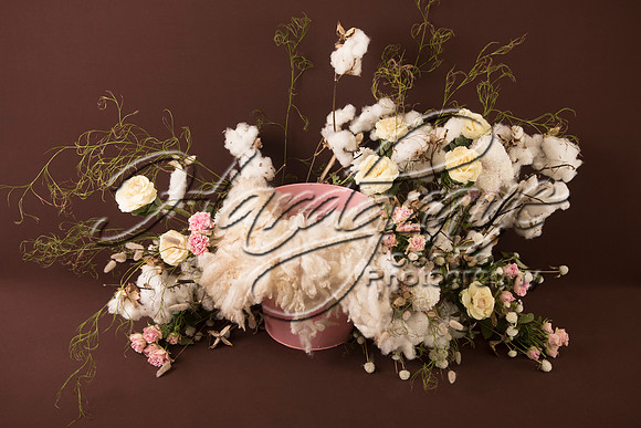 AkLoveArt Backdrop (64)
