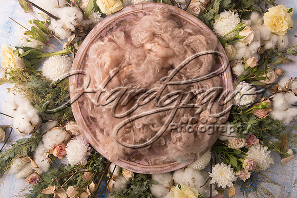 AkLoveArt Backdrop (65)