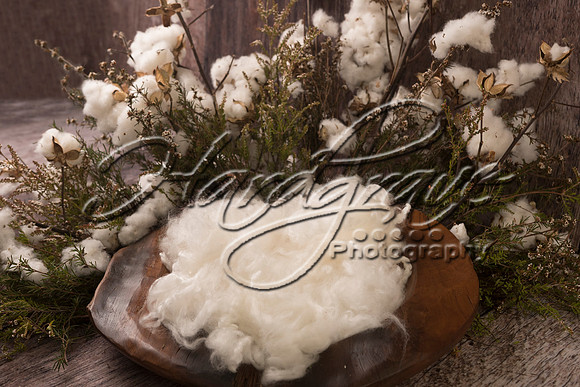 AkLoveArt Backdrop (66)