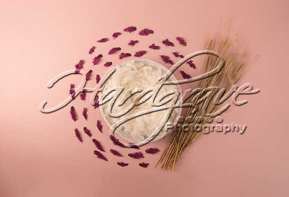 AkLoveArt Backdrop (73)