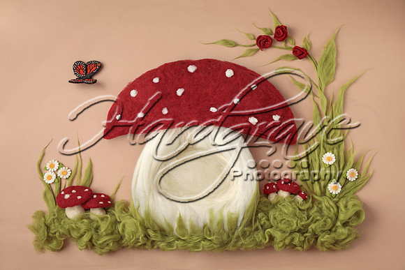 AkLoveArt Backdrop (74)
