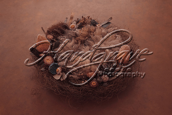 AkLoveArt Backdrop (78)