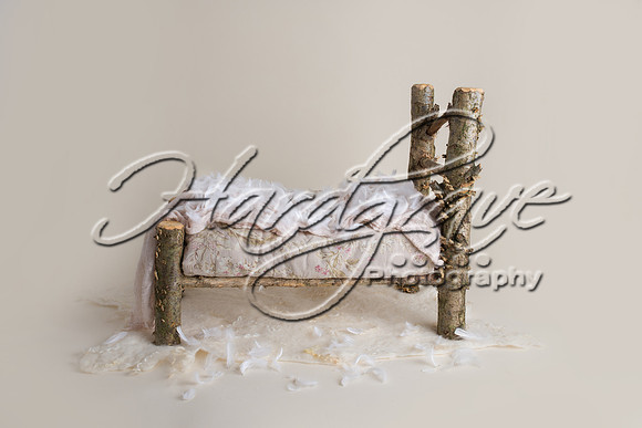 AkLoveArt Backdrop (79)
