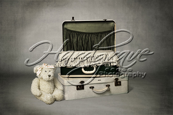 AkLoveArt Backdrop (80)
