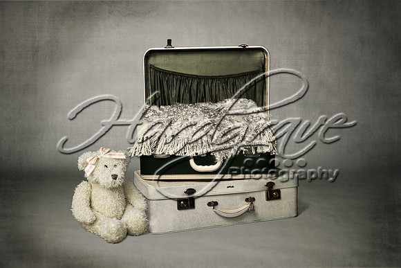 AkLoveArt Backdrop (81)