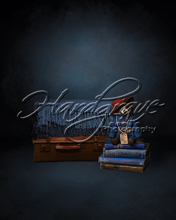 AkLoveArt Backdrop (84)