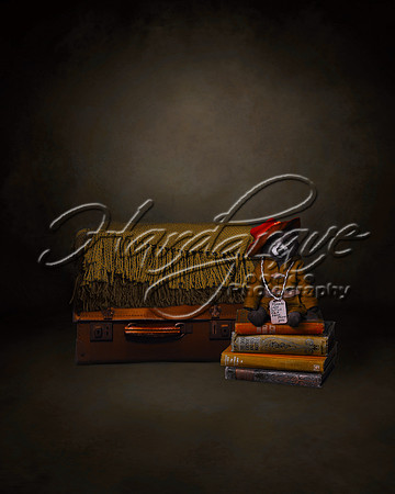 AkLoveArt Backdrop (85)