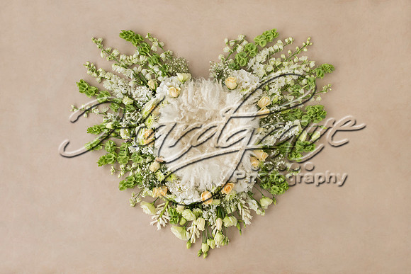 AkLoveArt Backdrop (82)
