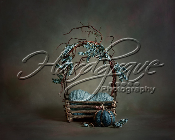 AkLoveArt Backdrop (87)
