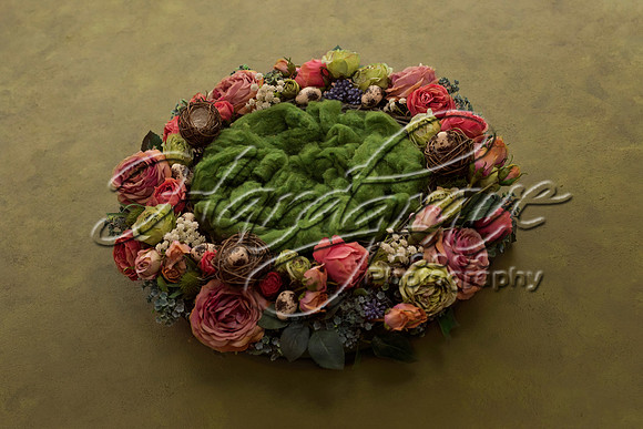 AkLoveArt Backdrop (91)