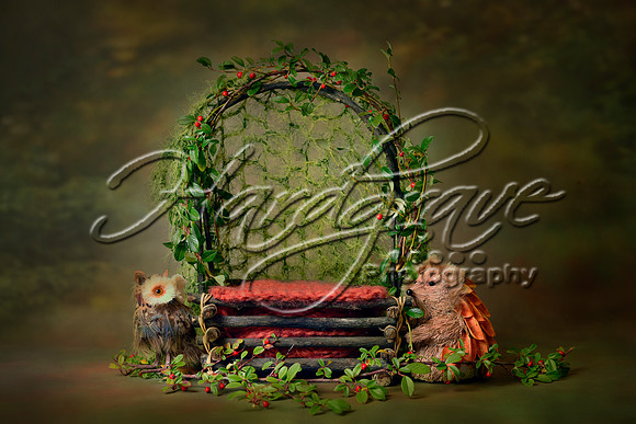 AkLoveArt Backdrop (88)