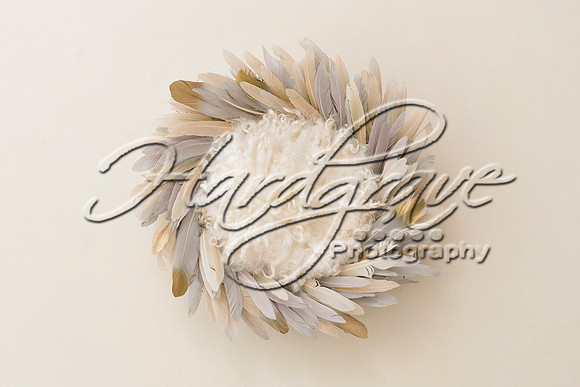 AkLoveArt Backdrop (97)