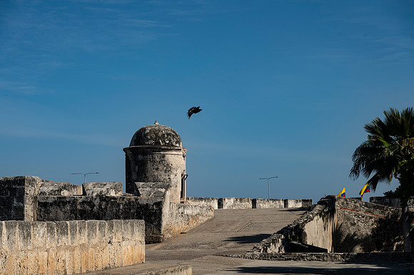 Cartagena 20230729 2560
