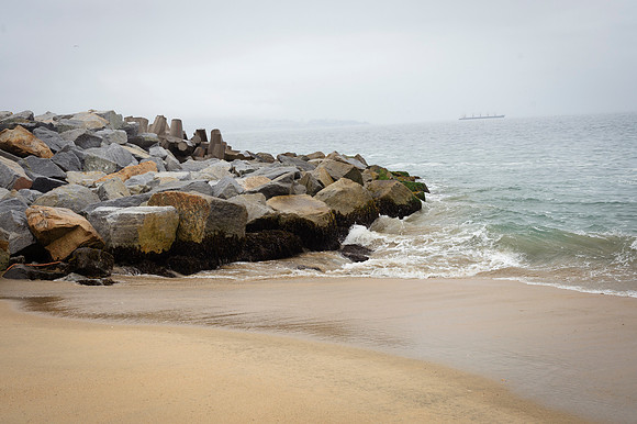 Viña del Mar 20240126 162