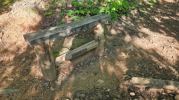 Devil's Den Yellow Rock 20250513 072