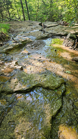 Devil's Den Yellow Rock 20250513 051