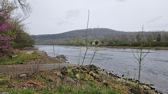 Bull Shoals 20250328 183