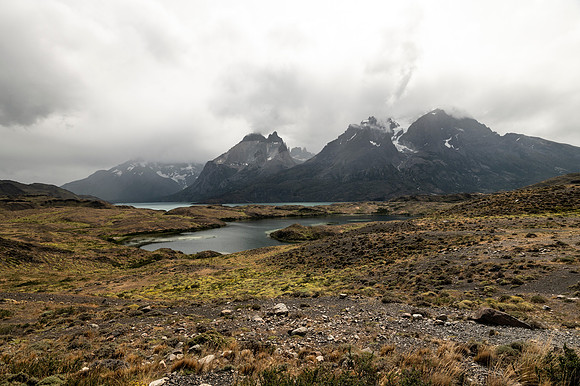 Torres de Paine 20240130 373