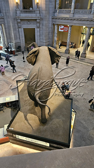 Washington DC 20250303 497