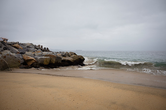 Viña del Mar 20240126 169