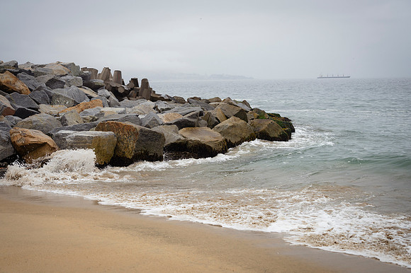 Viña del Mar 20240126 163