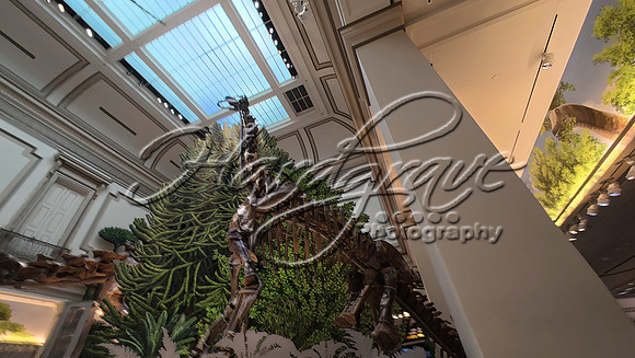 Washington DC 20250303 761