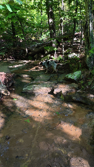 Devil's Den Yellow Rock 20250513 053