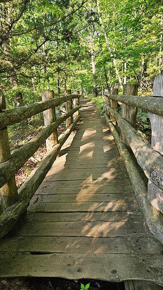 Devil's Den Yellow Rock 20250513 083