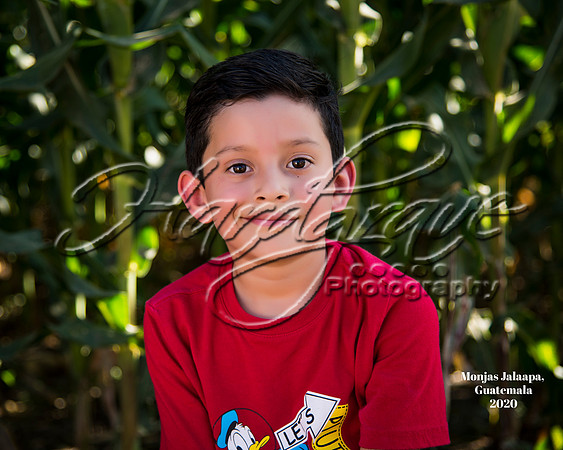 Velasquez 01-147-A