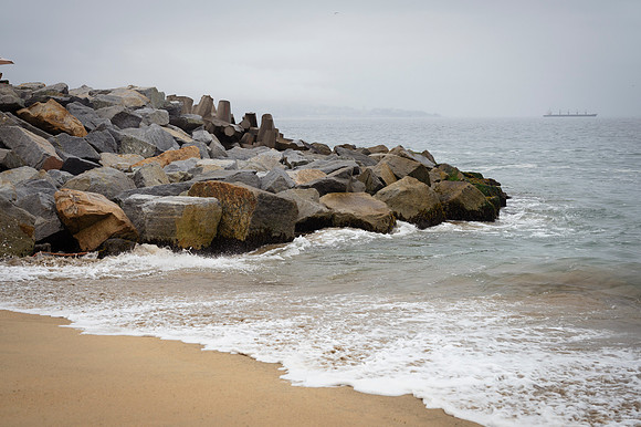 Viña del Mar 20240126 164