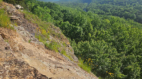 Devil's Den Yellow Rock 20250513 063
